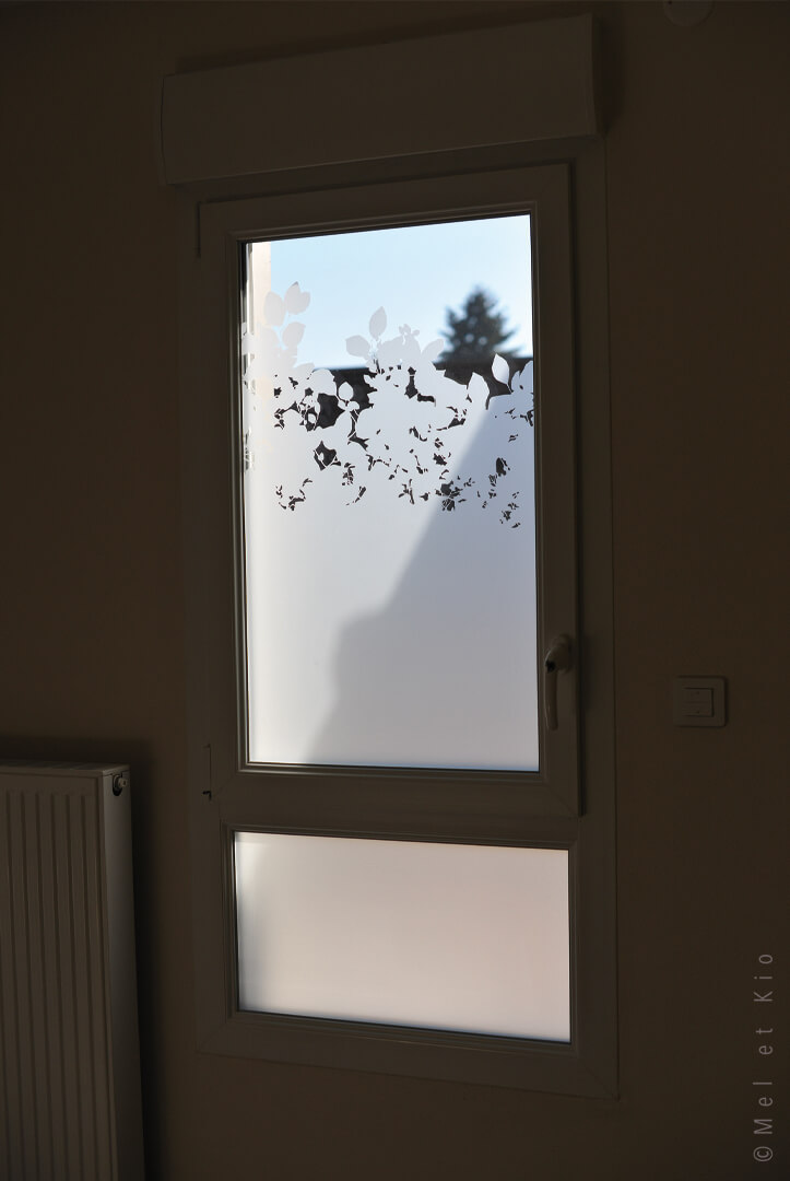IME Film brise vue fenêtre Maison de l'enfance PEP 01 - Mel et Kio