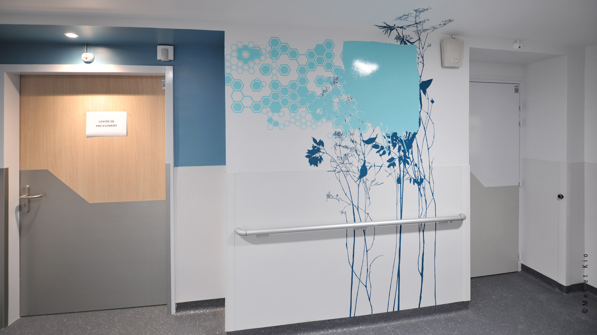 D corations Murales D int rieure H pital Saint Antoine Endocrinologie D corations Murales D int rieure H pital Saint Antoine Endocrinologie