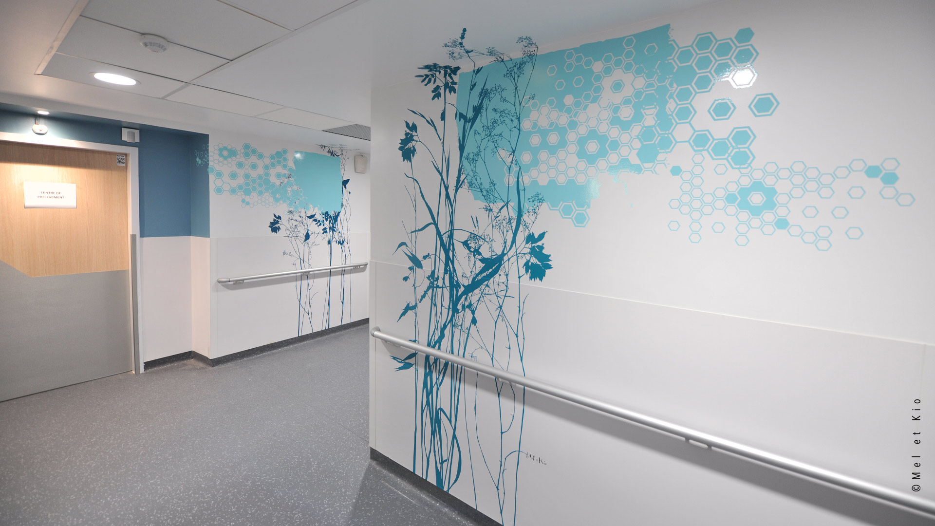 D corations Murales D int rieure H pital Saint Antoine Endocrinologie D corations Murales D int rieure H pital Saint Antoine Endocrinologie
